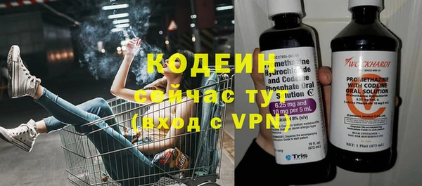 шишки Семилуки